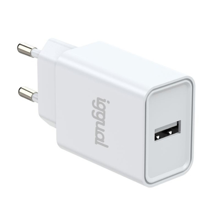iggual cargador de pared 1xusb 5v/2.4a  12w