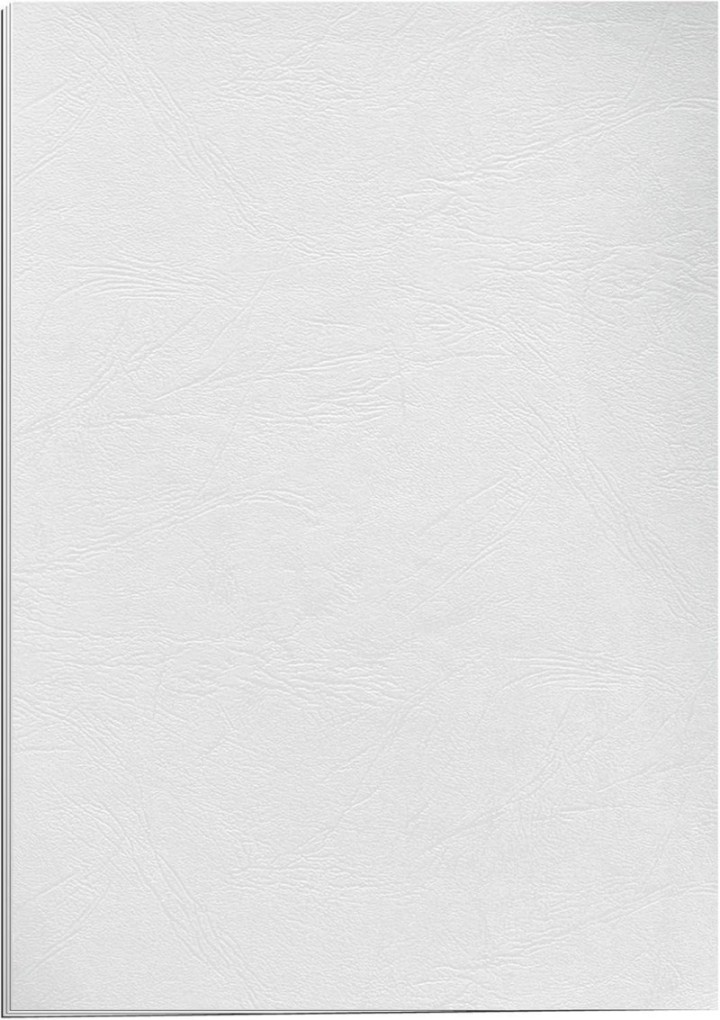 c.25 portadas fellowes a4 250gr simil piel bla