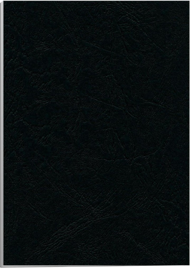 c.25 portadas fellowes a4 250gr simil piel neg