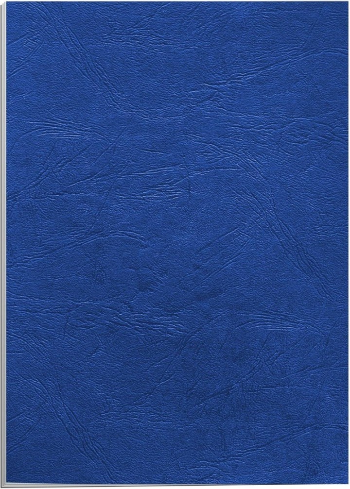 c.25 portadas fellowes a4 250gr simil piel azul