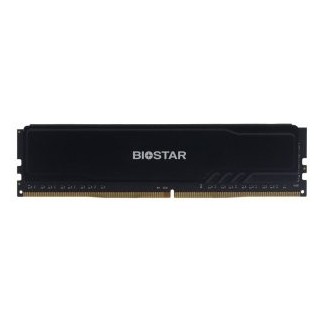 ddr4 16gb 3200mhz biostar heatsink storming do32nu4h16