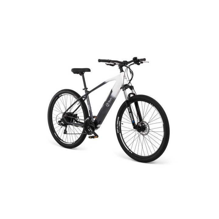 youin youin youride everest2 29 mtb   14ah/36v lg   cambio 21v   talla m