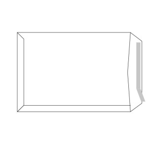 c.250 bolsas uso gral. sam 100 gr. 260x360 blanco