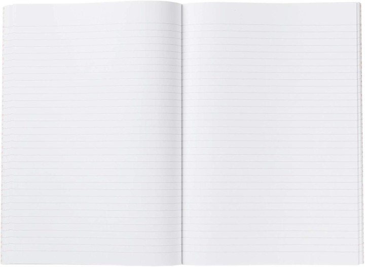 cuad. cartone miquel rius fÂº apai 100h hztl