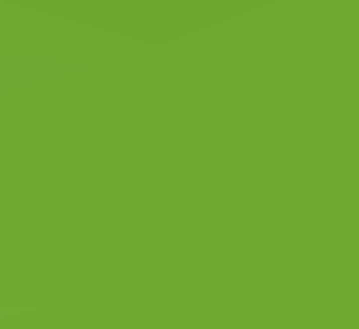 paq. 10h goma eva faibo 40x60cm 1.9mm ver cl