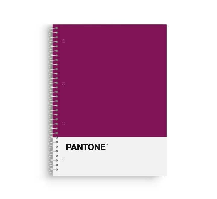 cuad. escolofi pantone basic a4 80h 5x5 90gr vio