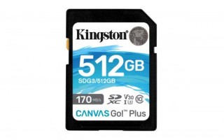 kingston technology canvas go plus memoria flash 512 gb sd clase 10 uhs-i