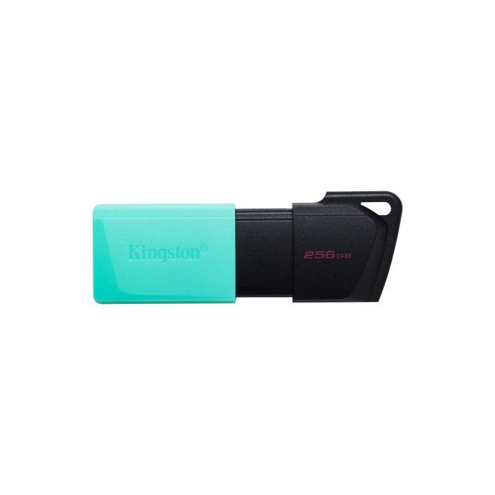 kingston technology datatraveler exodia m unidad flash usb 256 gb usb tipo a 3.2 gen 1 (3.1 gen 1) n