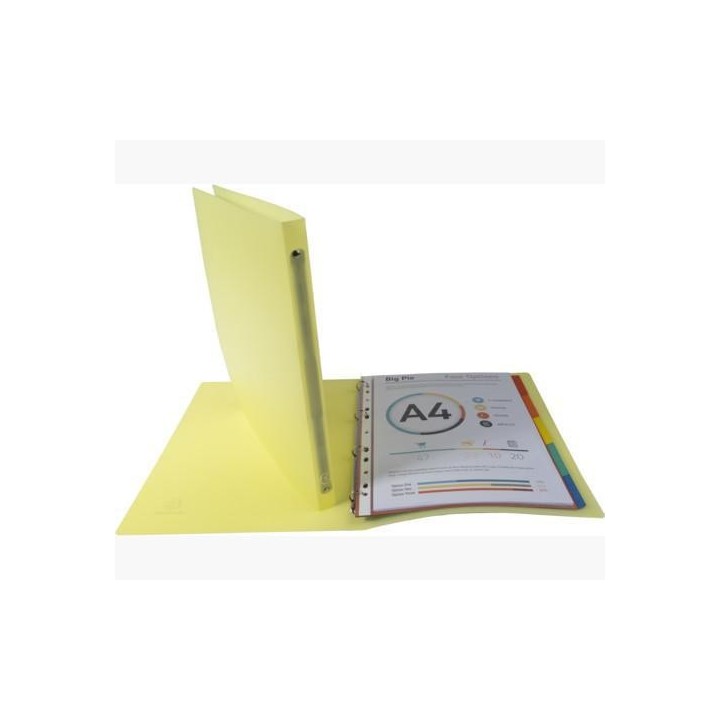 carp. exacompta 4 an-15mm pp a4 chrom pastel