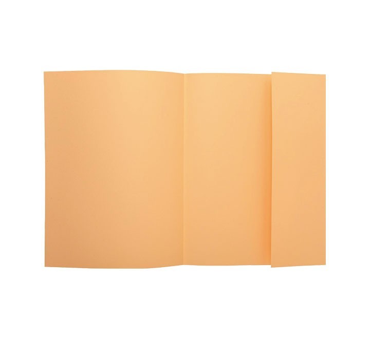 c.100 subcarp. exacompta super 160 sol. lat. crema