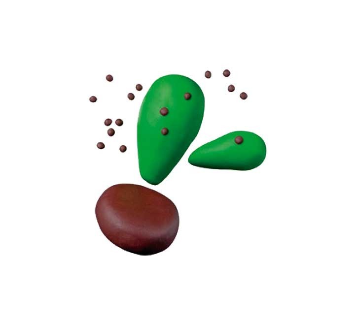 kit pasta fimo staedtler 2x42gr funny cactus