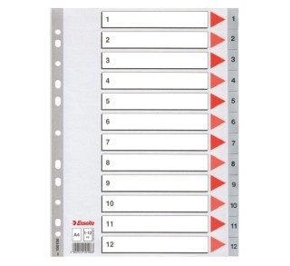 indice esselte  pp a4 112 con carat gris