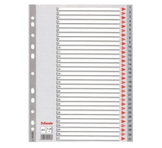 indice esselte pp a4 131 con carat gris
