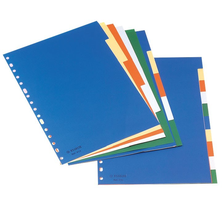 separadores esselte pp a4 10 posic. caratula mult