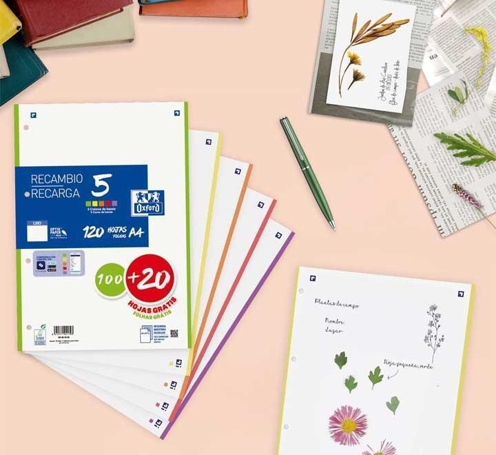 recambio 100h+20 oxford color 5 a4 liso vivos