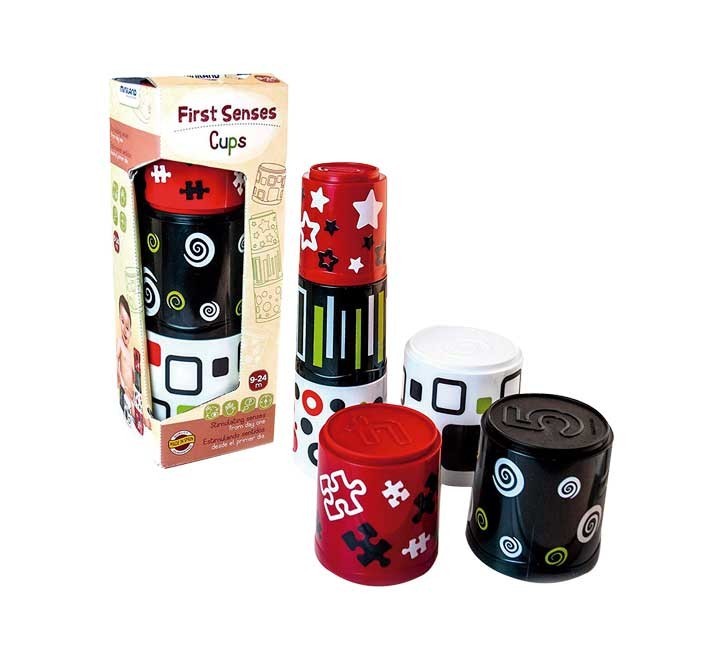 cubos miniland primeros sentidos 97311