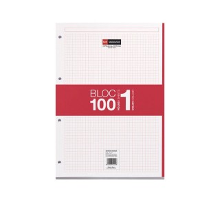 rec. 100h. miquelrius  a4 cuadricula rojo