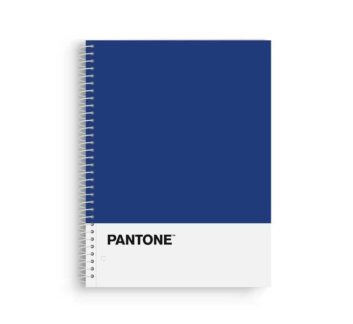 cuad. escolofi pantone basic a4 80h 5x5 90gr azu