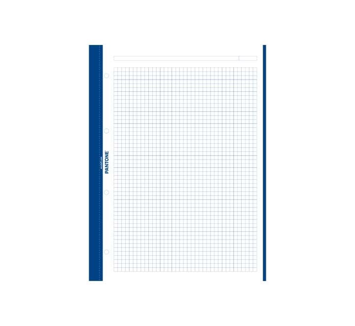cuad. escolofi pantone basic a4 80h 5x5 90gr azu