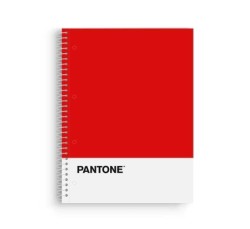 Cuad. Escolofi Pantone...