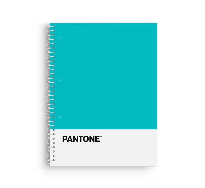 cuad. escolofi pantone basic a4 80h 5x5 90gr tur