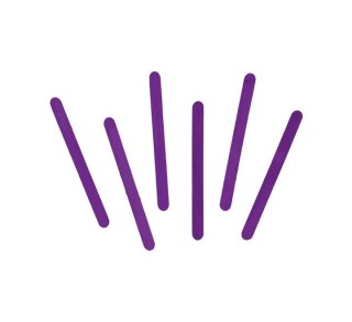 b. 50u palo innspiro madera 114x10 lila