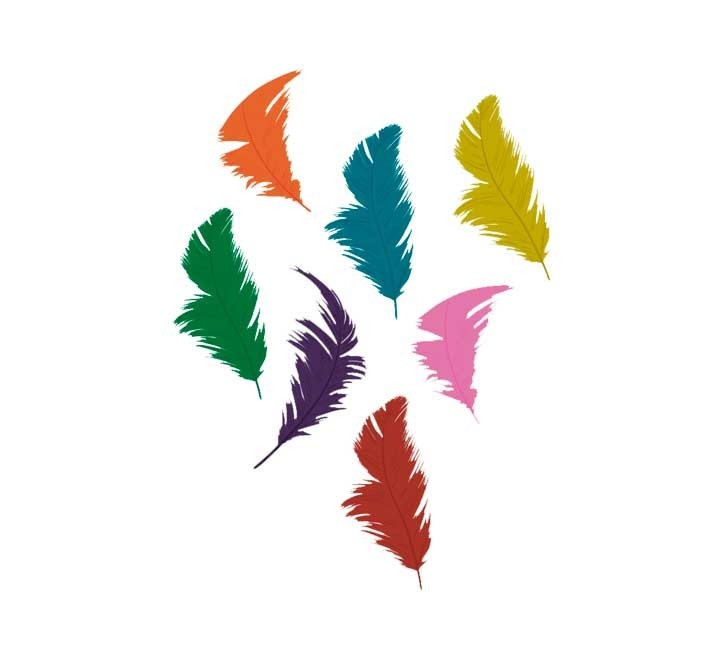 b. plumones innspiro 75mm 14gr stdo