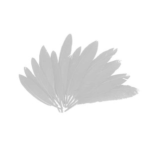 b. 60 plumas indio innspiro 25x140mm blanco