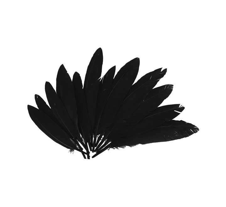 b. 60 plumas indio innspiro 25x140mm negro