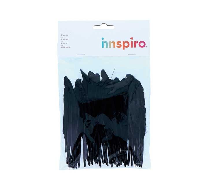 b. 60 plumas indio innspiro 25x140mm negro