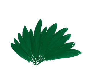 b. 60 plumas indio innspiro 25x140mm verde