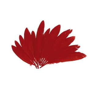 b. 60 plumas indio innspiro 25x140mm rojo