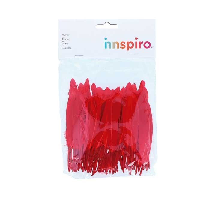 b. 60 plumas indio innspiro 25x140mm rojo