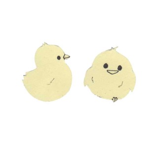 b.3u cartul.magnet. niefenver 24x15cm ama. 1300157