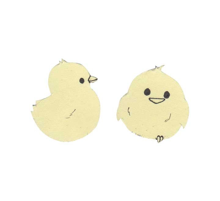 b.3u cartul.magnet. niefenver 24x15cm ama. 1300157