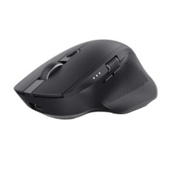 Mouse Trust Wireless Y...