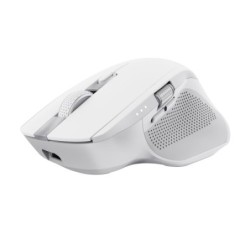 Mouse Trust Wireless Y...