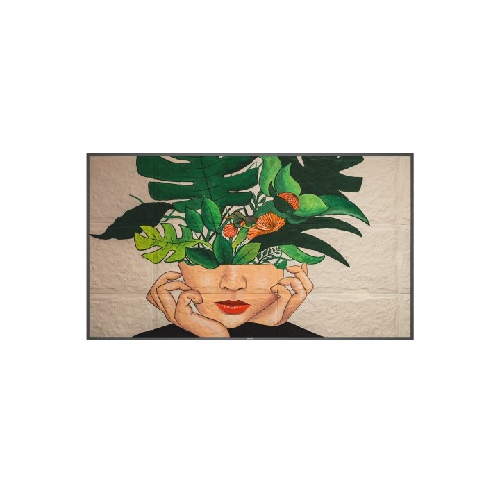 monitor philips 75 d-line / panel ips 8bit d-led 16:9 / 3840x2160 500cd/m2 / 8 ms / pixel pitch 0.42